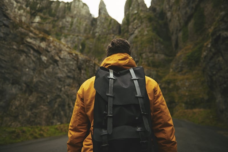 Hiker in a forest