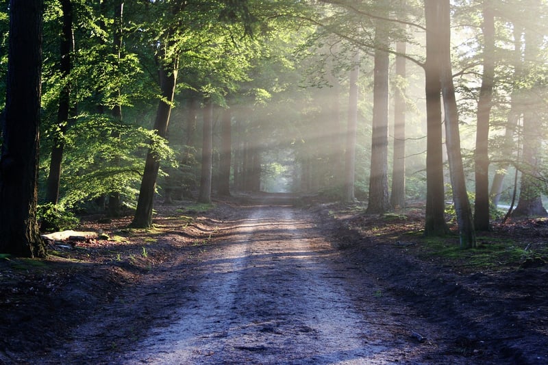 Navigating through uncertainties