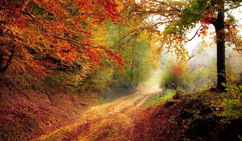 Path to Enlightenment